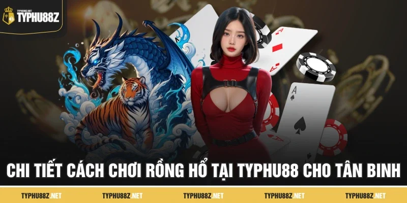 Chi tiết cách chơi Rồng Hổ tại TYPHU88 cho tân binh