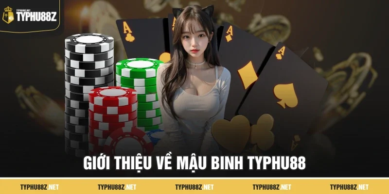 Giới thiệu về Mậu Binh TyPhu88