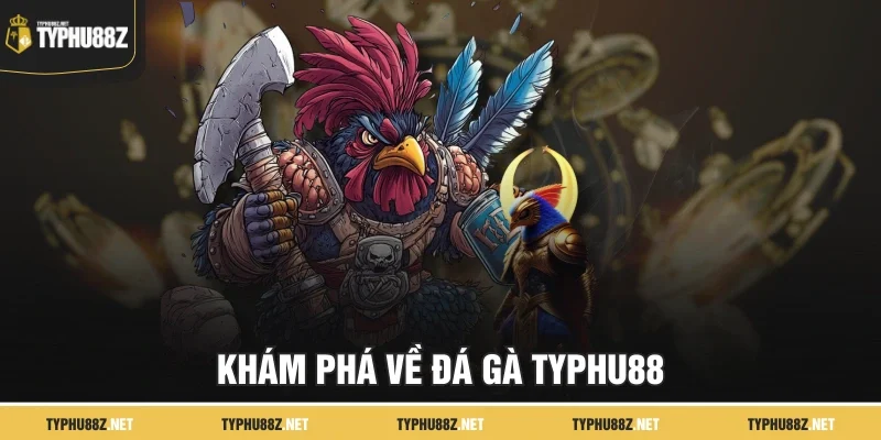 Khám phá về Đá Gà Typhu88