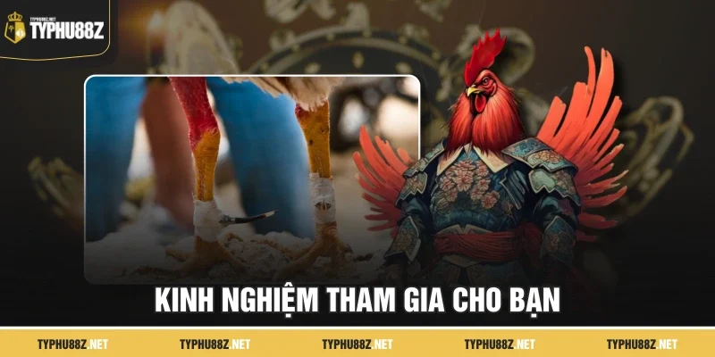 Kinh nghiệm tham gia cho bạn